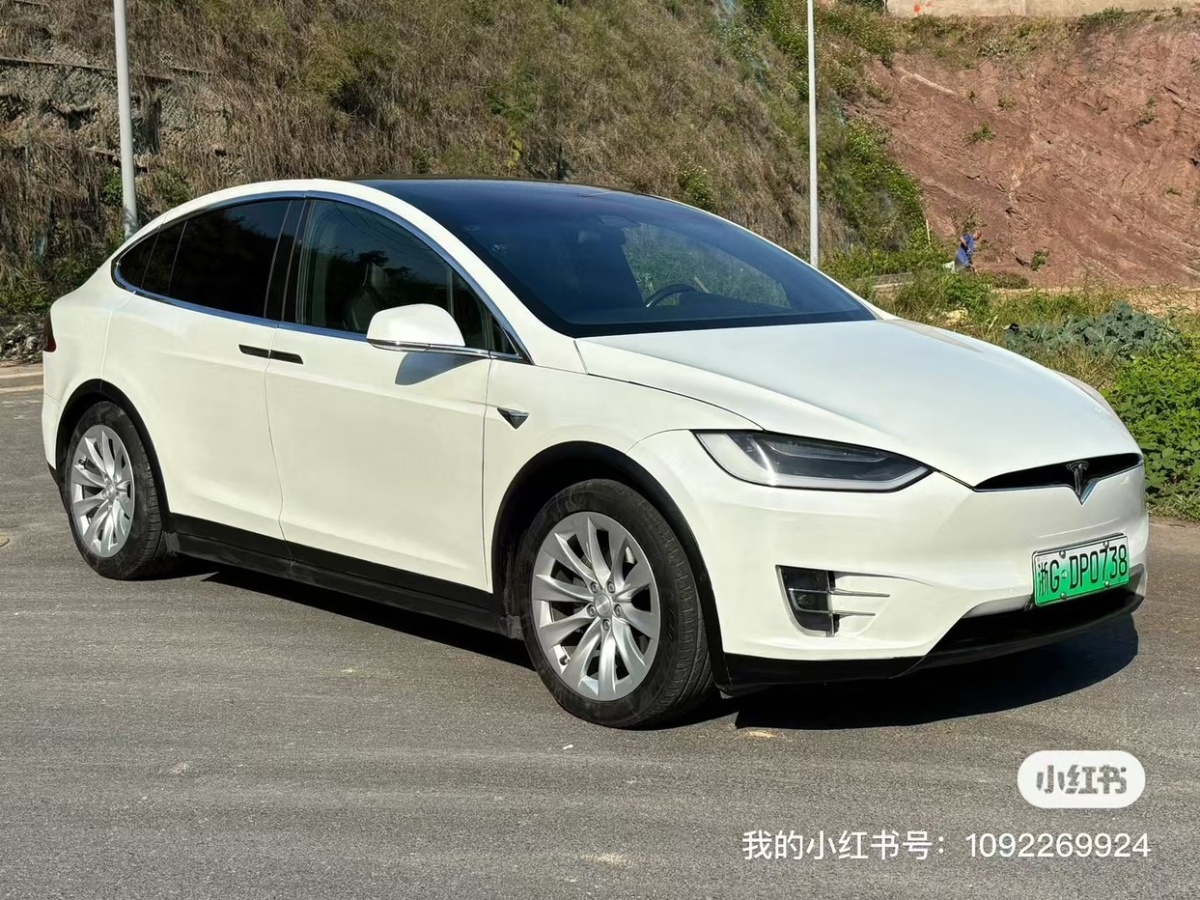 特斯拉 Model X  2016款 Model X 75D圖片