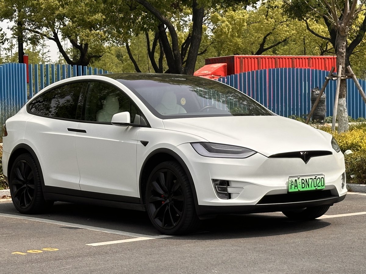 特斯拉 Model X  2019款 Performance 高性能版圖片