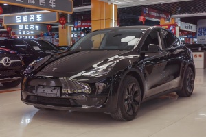 Model Y 特斯拉 后輪驅(qū)動版
