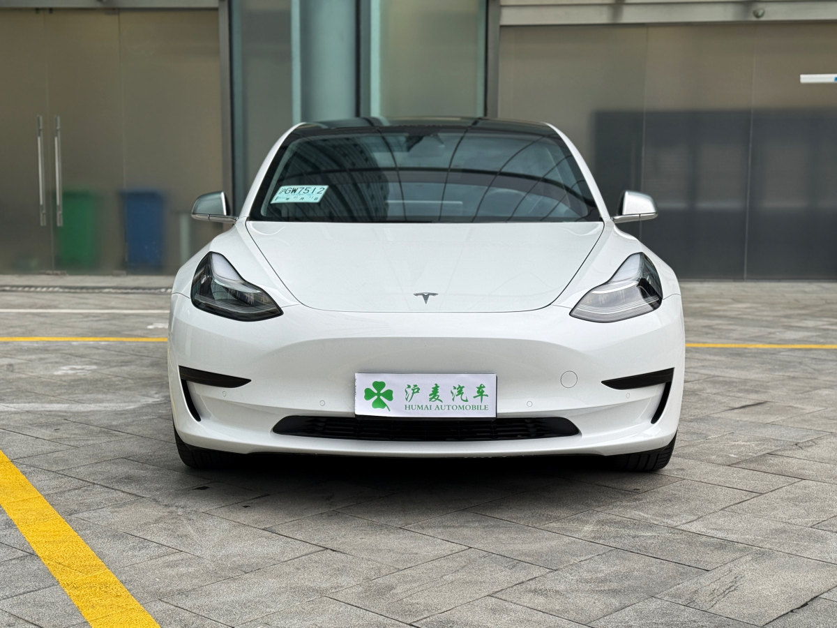 特斯拉 Model 3  2019款 標(biāo)準(zhǔn)續(xù)航后驅(qū)升級(jí)版圖片