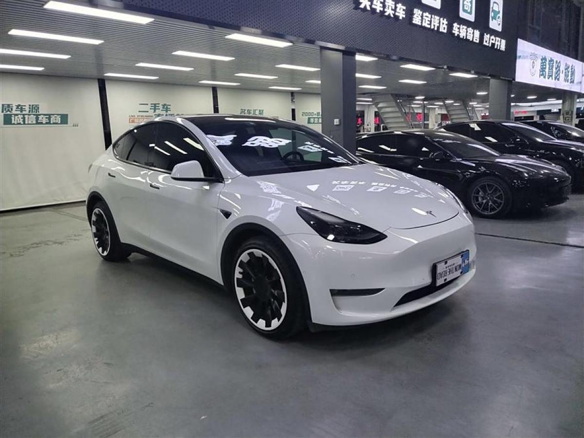 特斯拉 Model Y  2021款 長(zhǎng)續(xù)航全輪驅(qū)動(dòng)版 3D7圖片