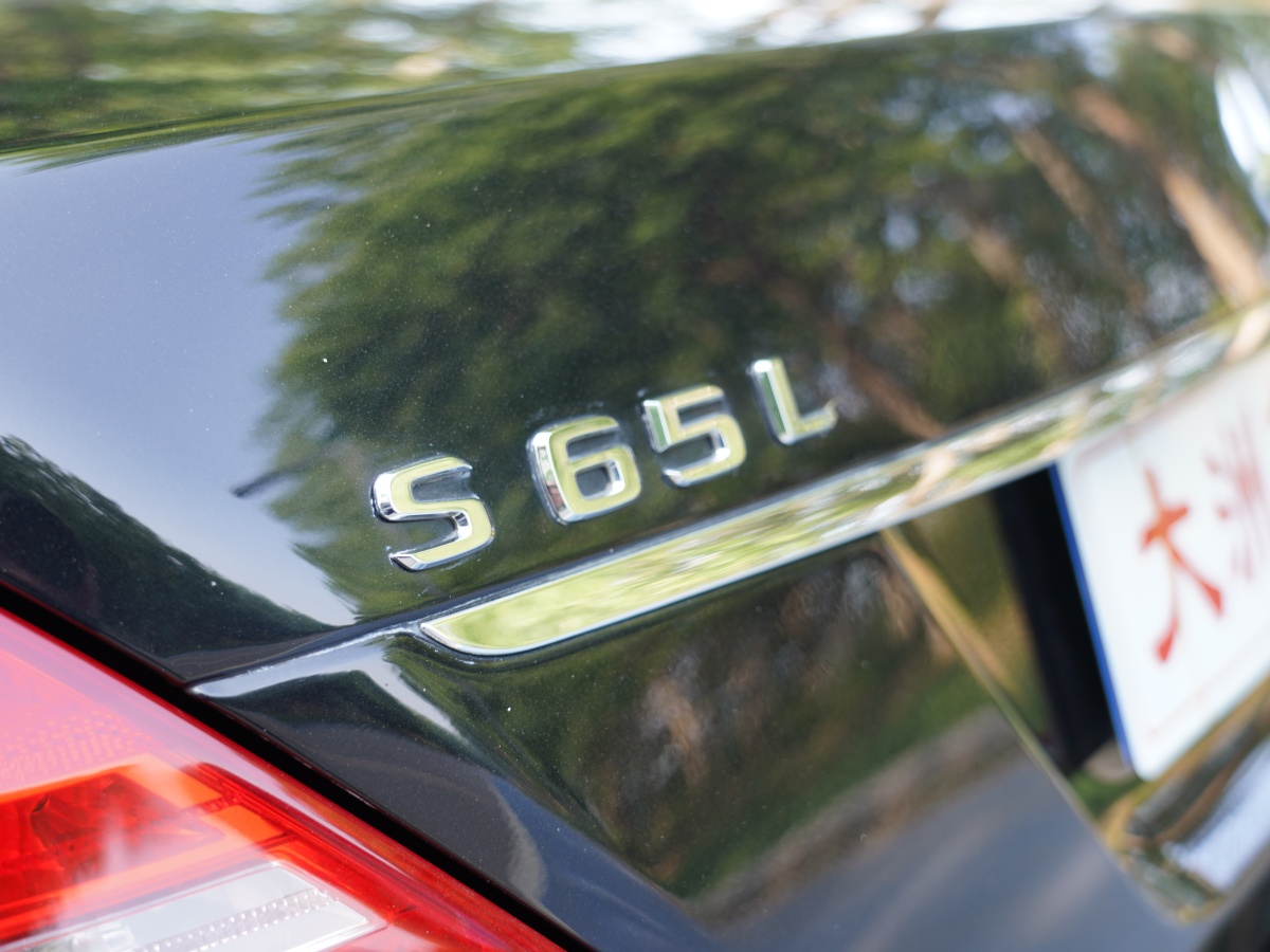 2013年7月奔驰 奔驰S级AMG  2010款 AMG S 65