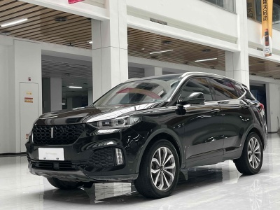 2019年5月 WEY VV6 2.0T 两驱旗舰型图片