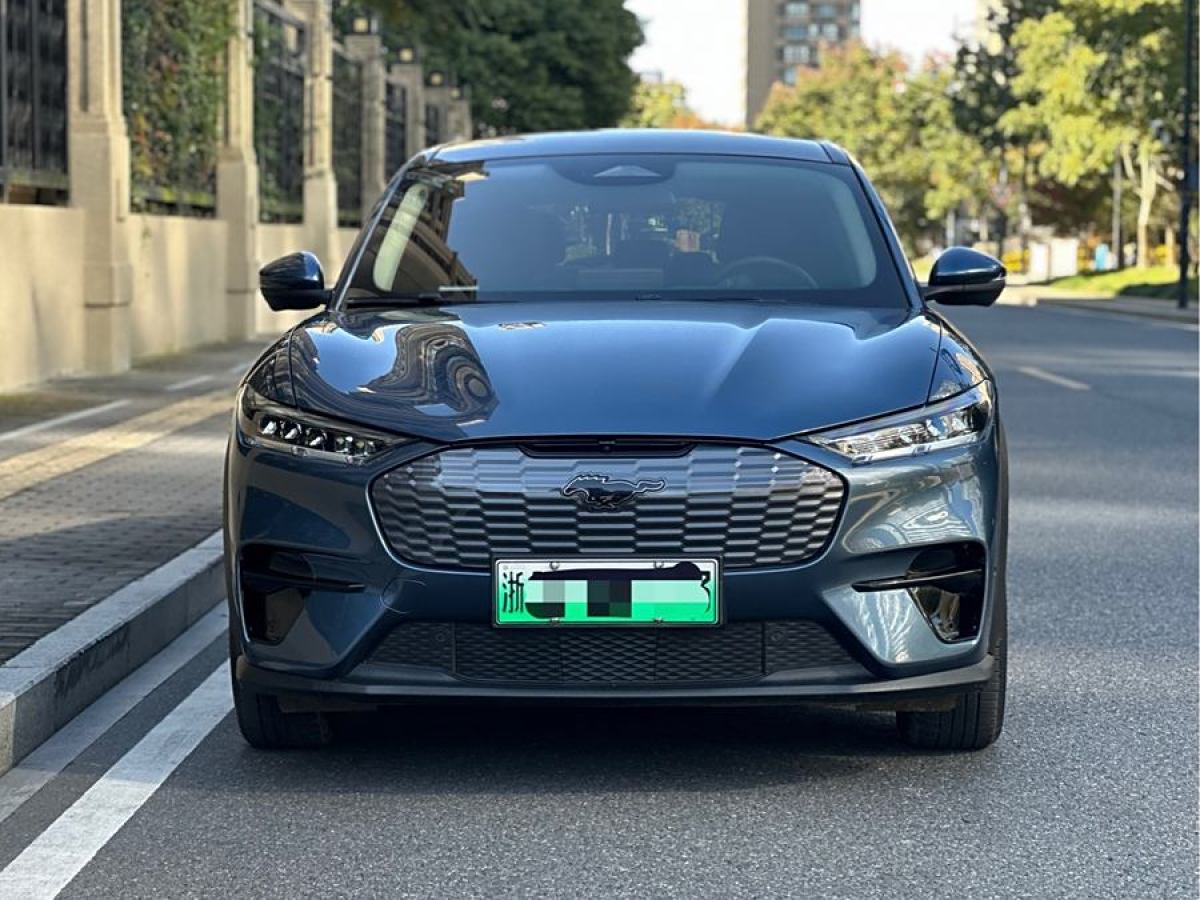 福特 Mustang Mach-E  2021款 標(biāo)準(zhǔn)續(xù)航后驅(qū)版圖片