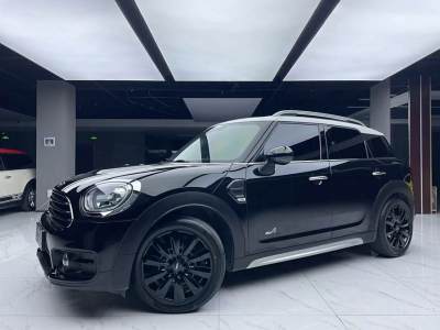 2019年11月 MINI COUNTRYMAN 1.5T COOPER ALL4 藝術(shù)家圖片