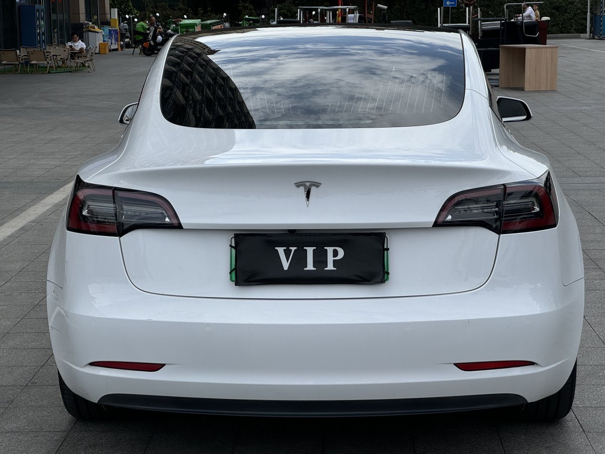 特斯拉 Model 3  2019款 標(biāo)準(zhǔn)續(xù)航后驅(qū)升級版圖片