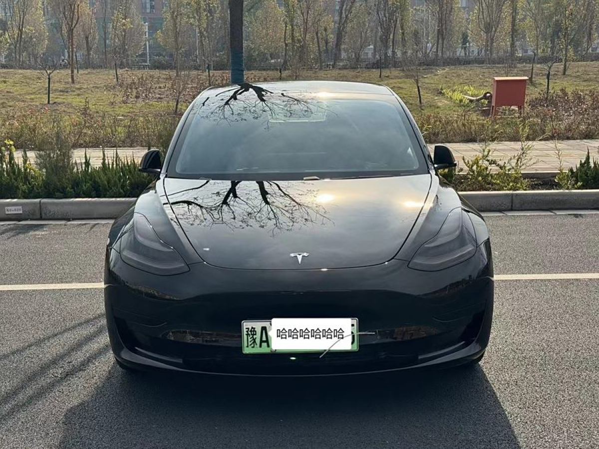 特斯拉 Model 3  2020款 改款 標(biāo)準(zhǔn)續(xù)航后驅(qū)升級(jí)版圖片