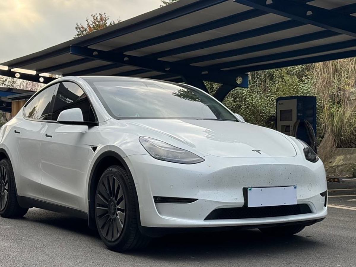 特斯拉 Model 3  2021款 改款 標(biāo)準(zhǔn)續(xù)航后驅(qū)升級版圖片