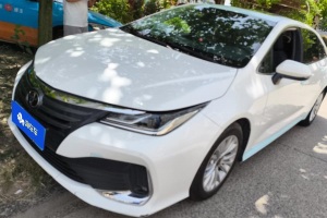 亞洲獅 豐田 2.0L 豪華版