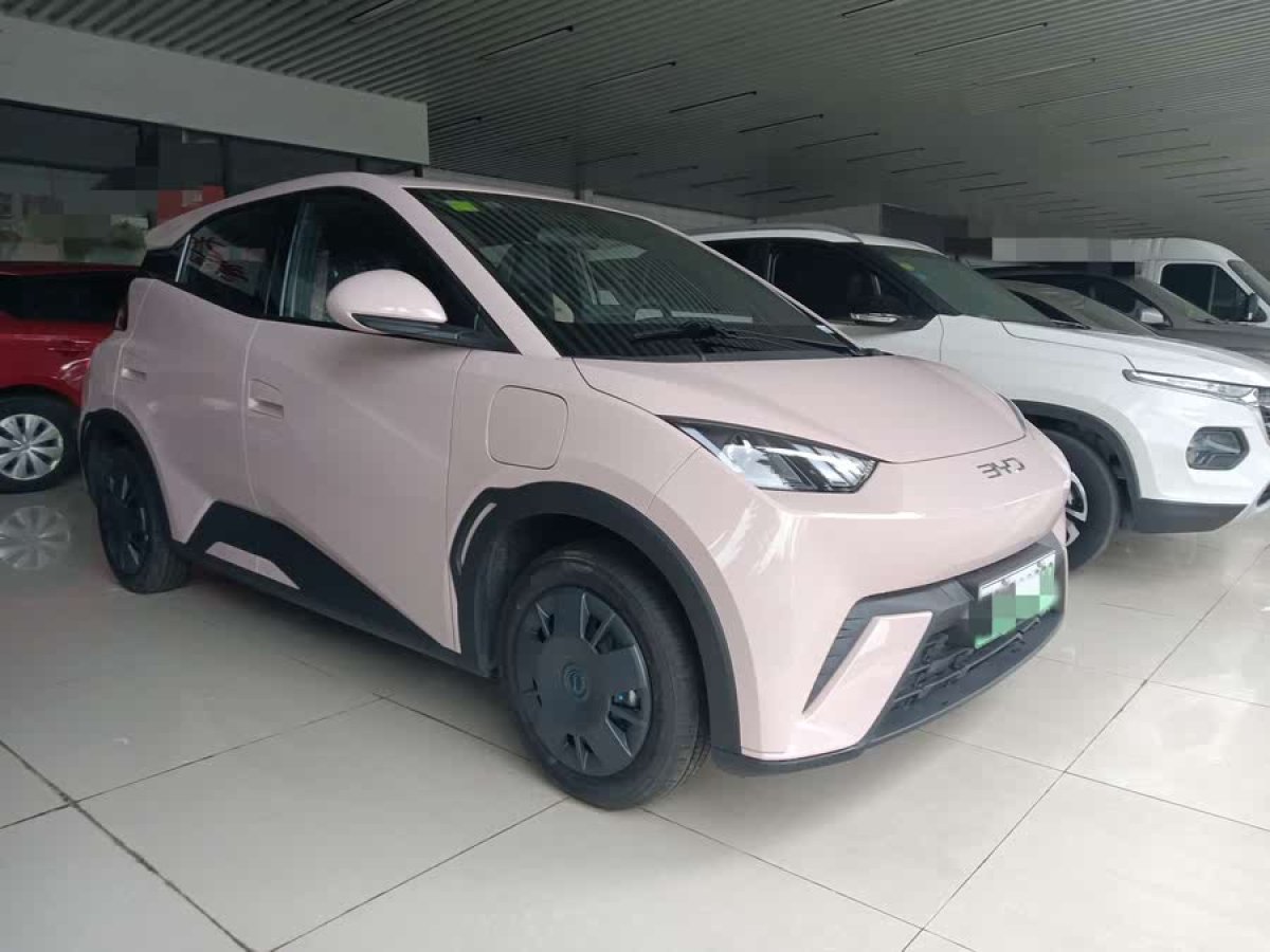 比亞迪 海鷗  2024款 榮耀版 305km 活力版圖片