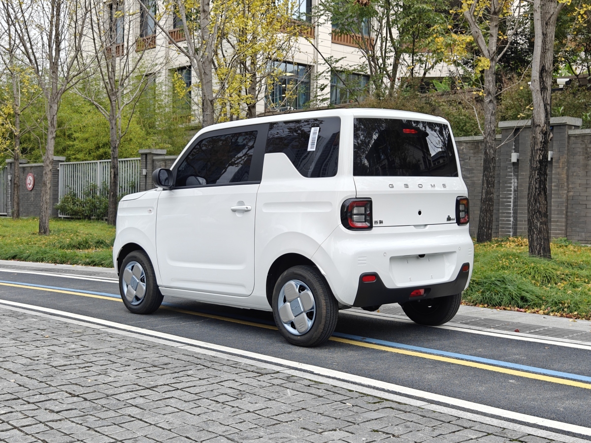 吉利 熊貓mini  2024款 熊貓mini 200km 龍騰版圖片