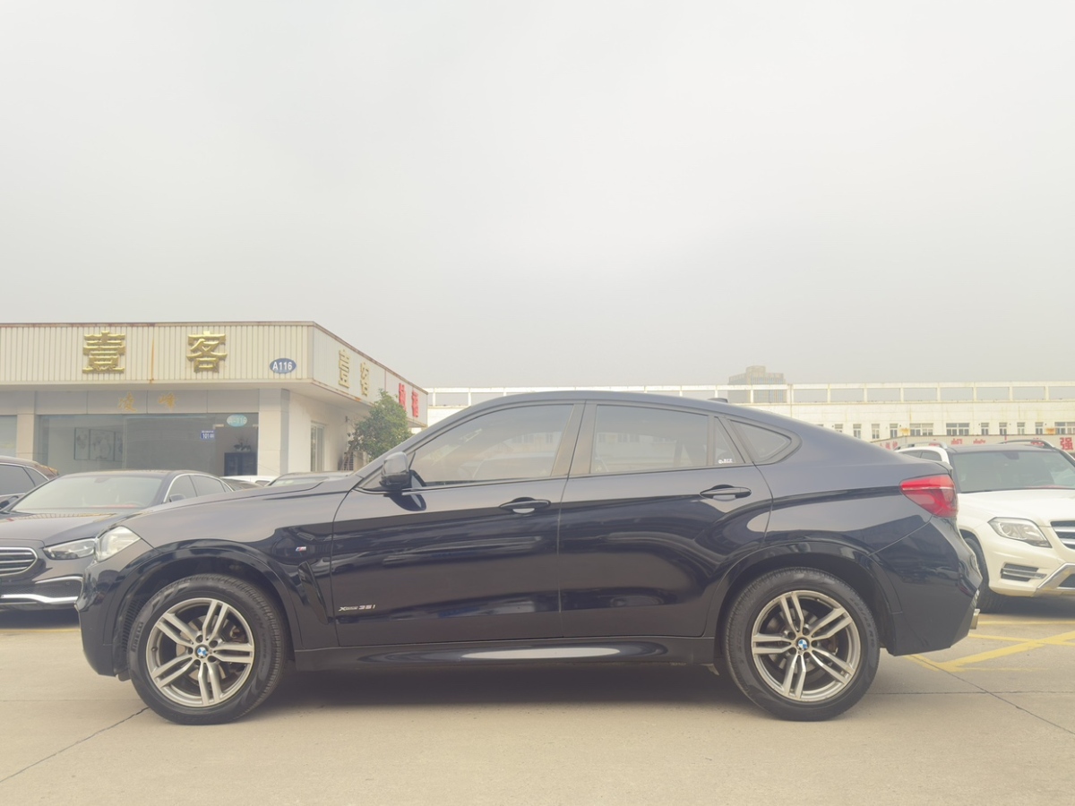 寶馬 寶馬X6  2015款 xDrive35i 領(lǐng)先型圖片