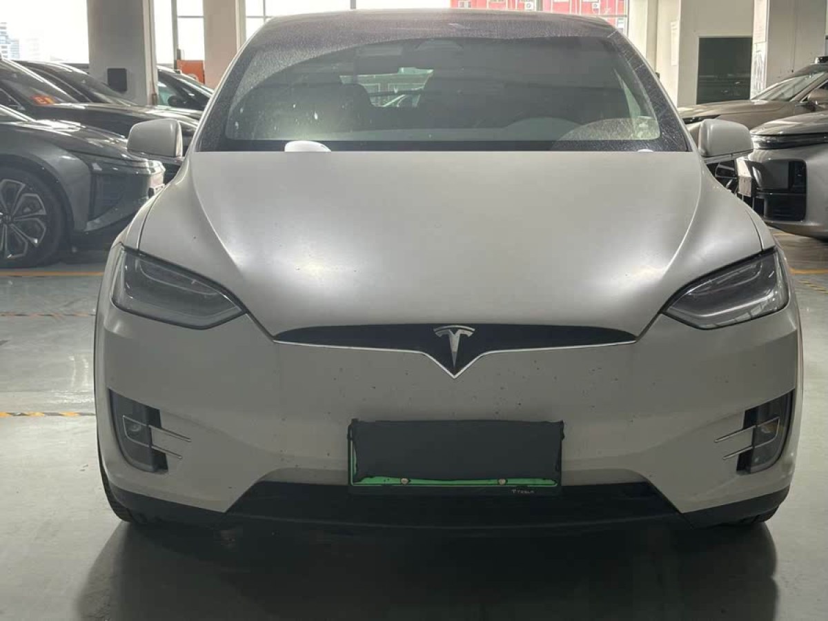 特斯拉 Model X  2019款 長續(xù)航版圖片