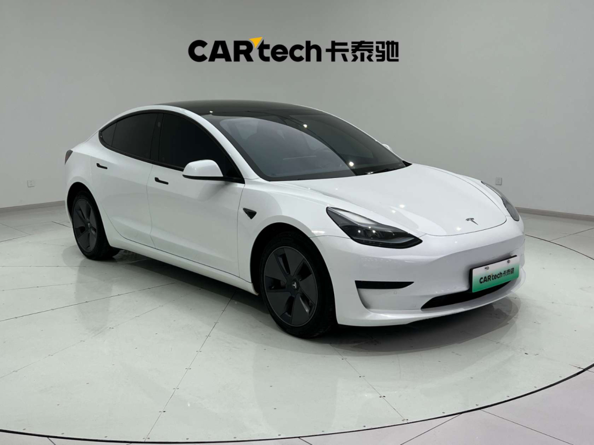 特斯拉 Model 3  2022款 后輪驅(qū)動(dòng)版圖片