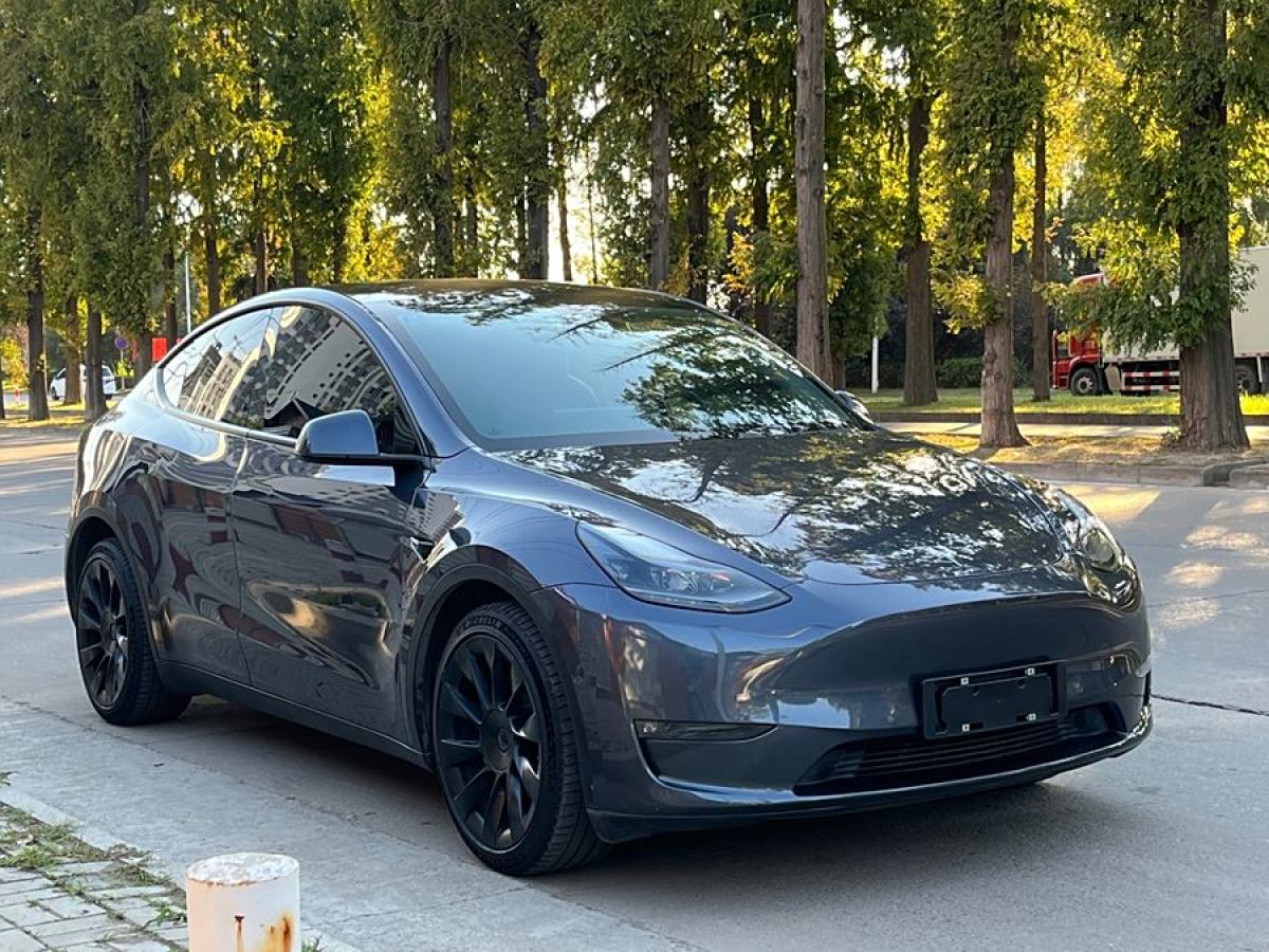 特斯拉 Model 3  2021款 改款 長(zhǎng)續(xù)航全輪驅(qū)動(dòng)版圖片