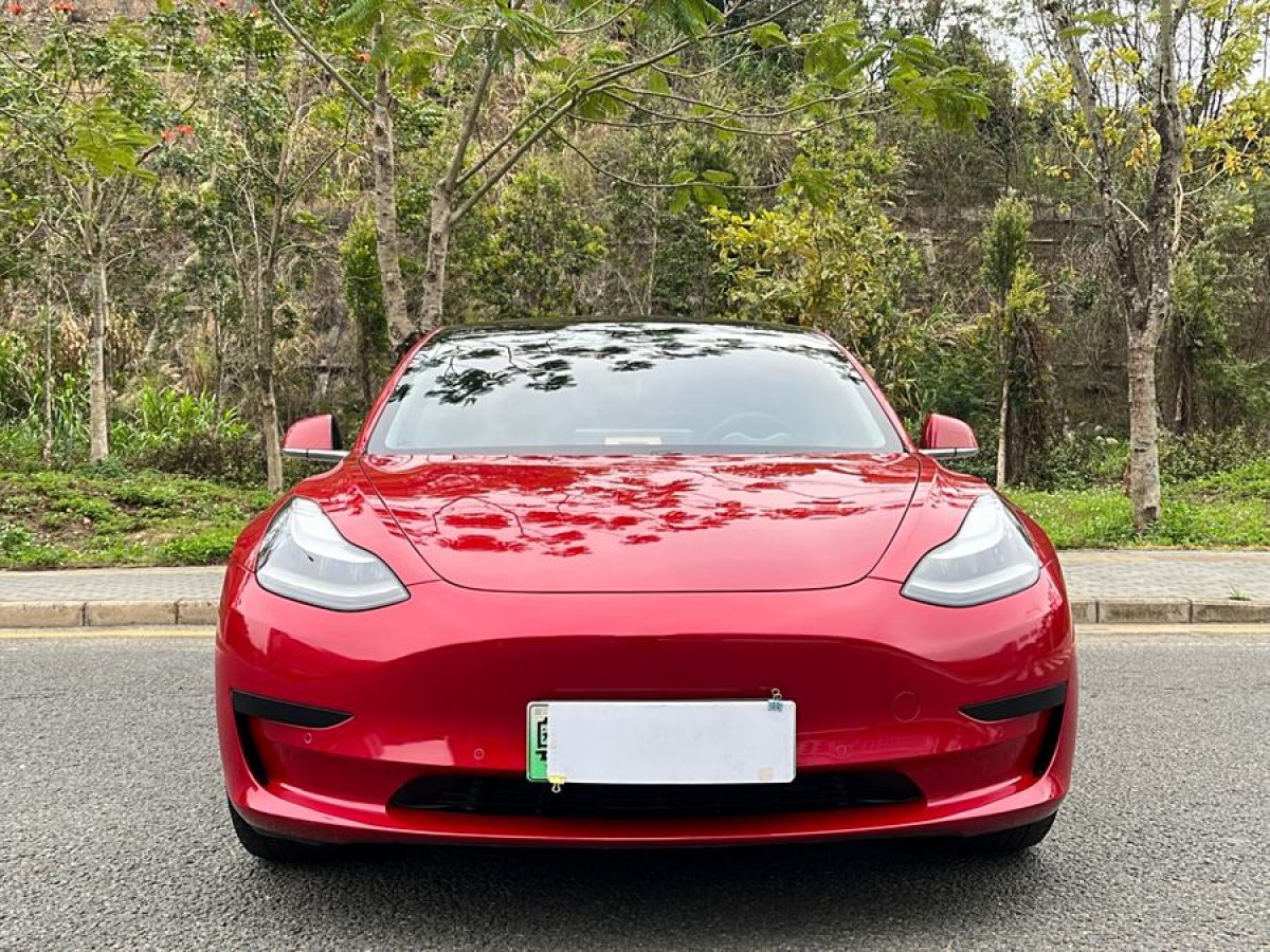 2020年5月特斯拉 Model 3  2019款 標(biāo)準(zhǔn)續(xù)航后驅(qū)升級版