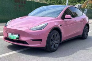Model Y 特斯拉 后輪驅(qū)動(dòng)版