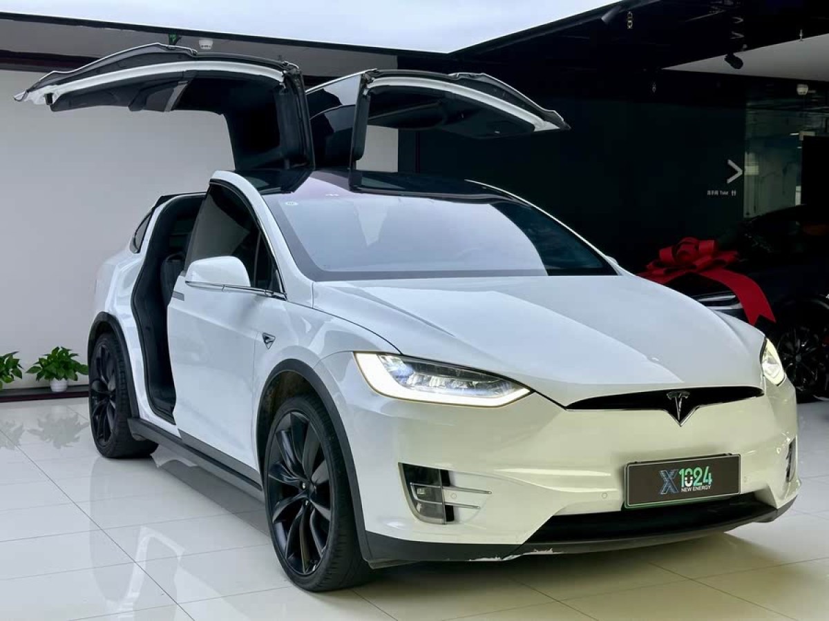 特斯拉 Model X  2019款 長續(xù)航版圖片