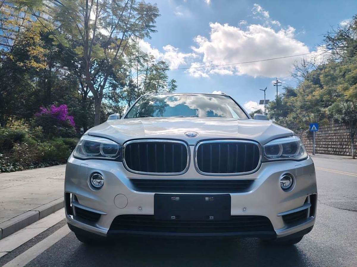 寶馬 寶馬X5  2014款 xDrive35i 典雅型圖片