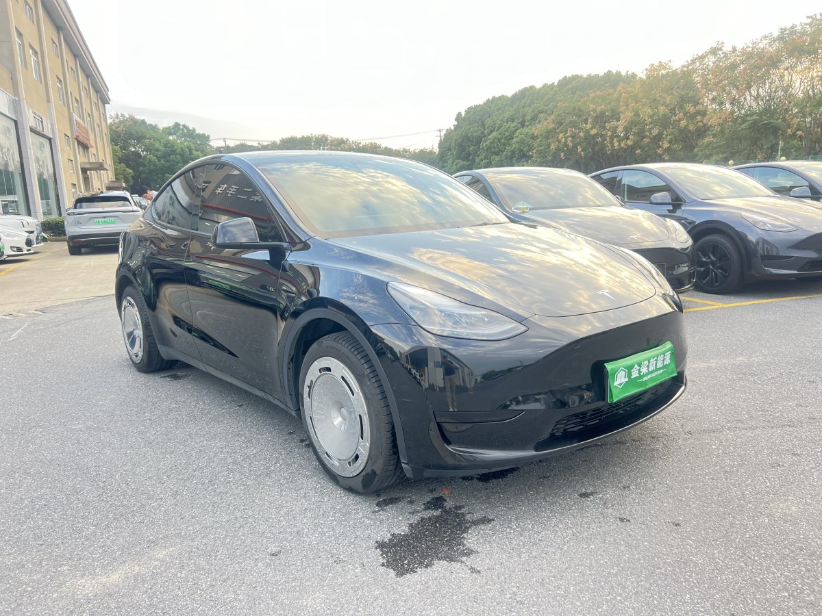 特斯拉 Model Y  2022款 后輪驅(qū)動(dòng)版圖片