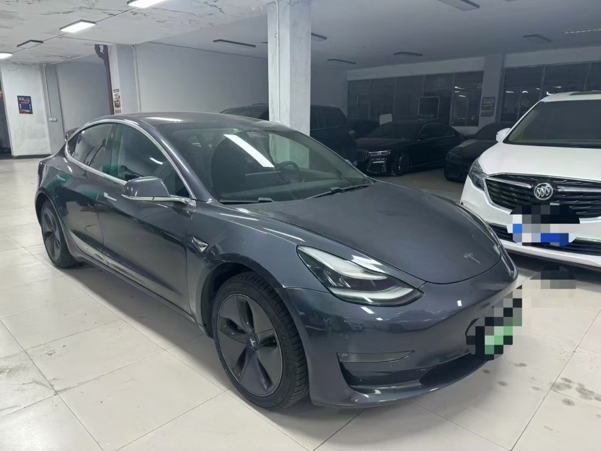 特斯拉 Model 3  2019款 Performance高性能全輪驅(qū)動版圖片