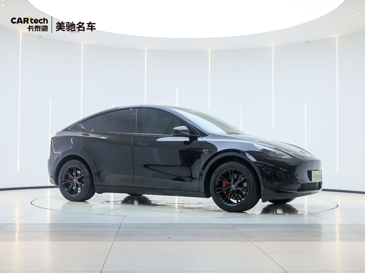 特斯拉 Model Y  2020款 Performance高性能全輪驅(qū)動(dòng)版圖片