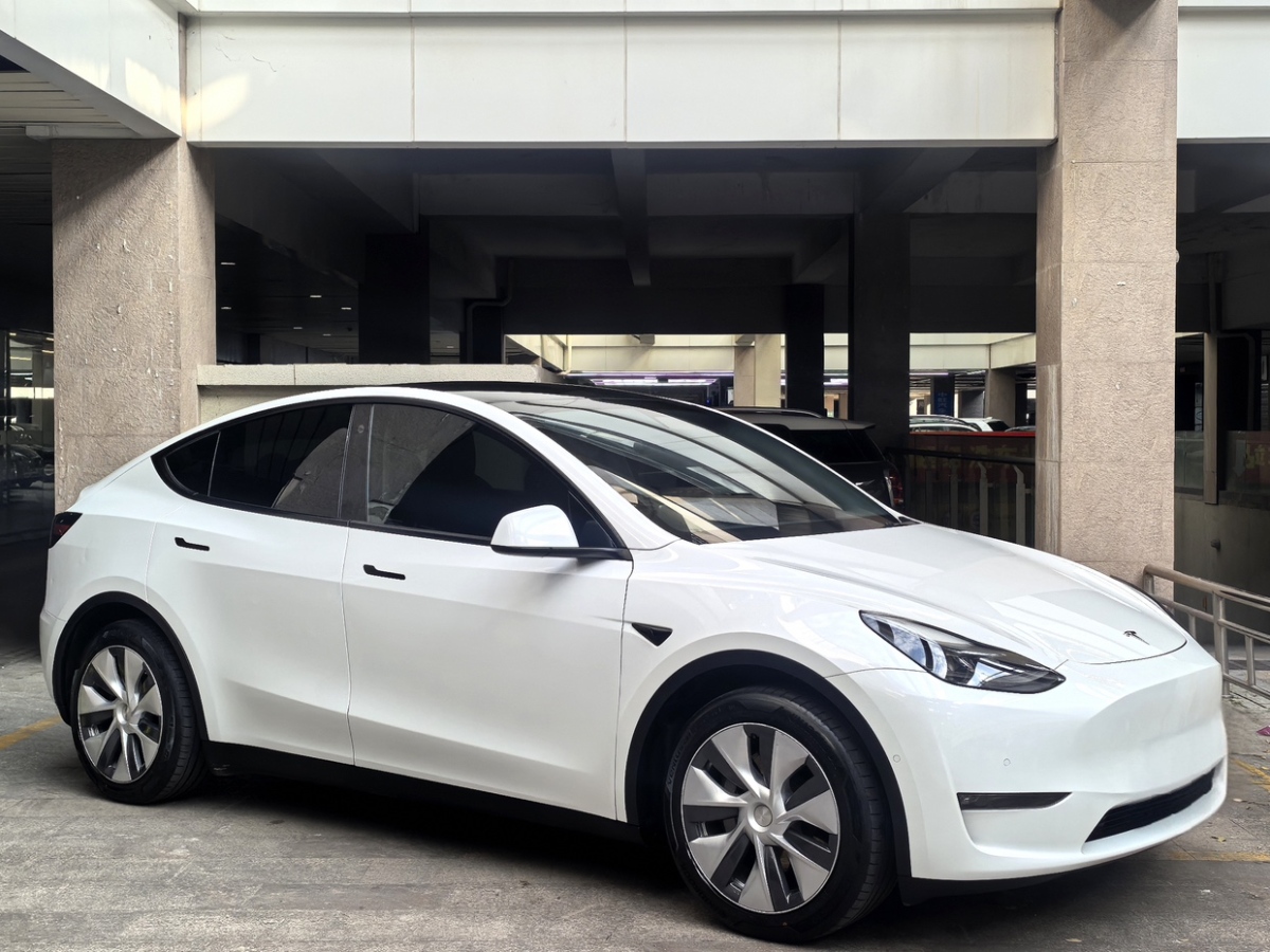 特斯拉 Model 3  2021款 標(biāo)準(zhǔn)續(xù)航后驅(qū)版圖片