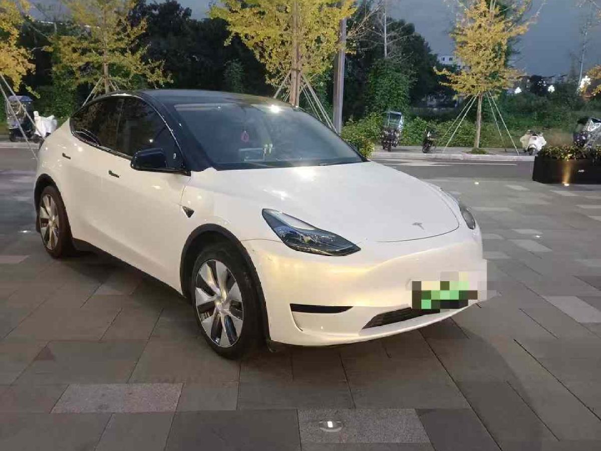 特斯拉 Model Y  2022款 Performance高性能全輪驅(qū)動(dòng)版圖片