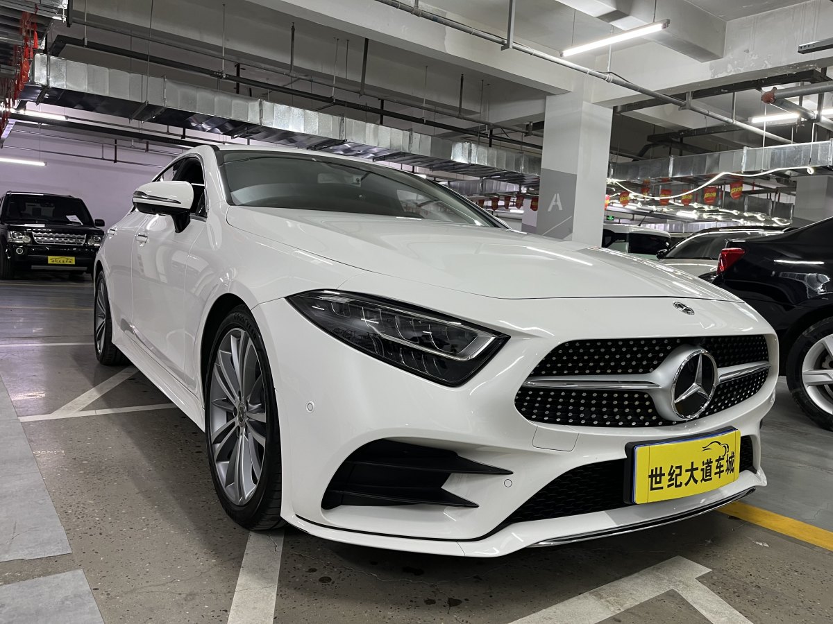 奔馳 奔馳CLS級(jí)  2018款 CLS 300 豪華型圖片