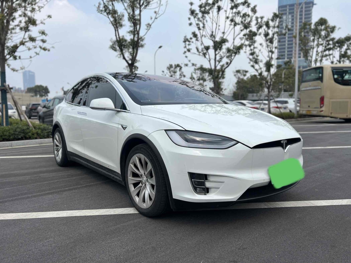 特斯拉 Model X  2017款 Model X 100D 長續(xù)航版圖片