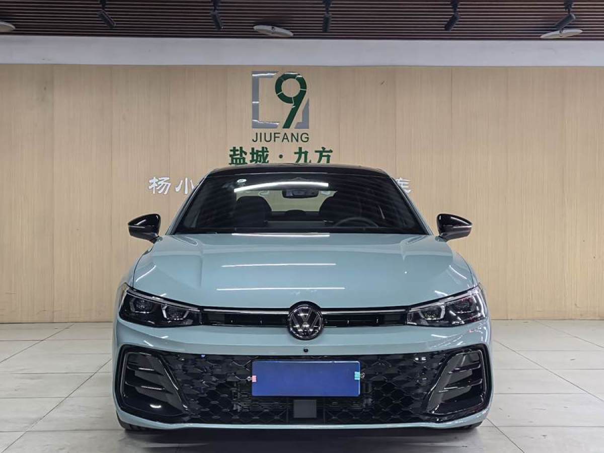 2024年8月大眾 帕薩特  2025款 Pro 380TSI 龍尊版