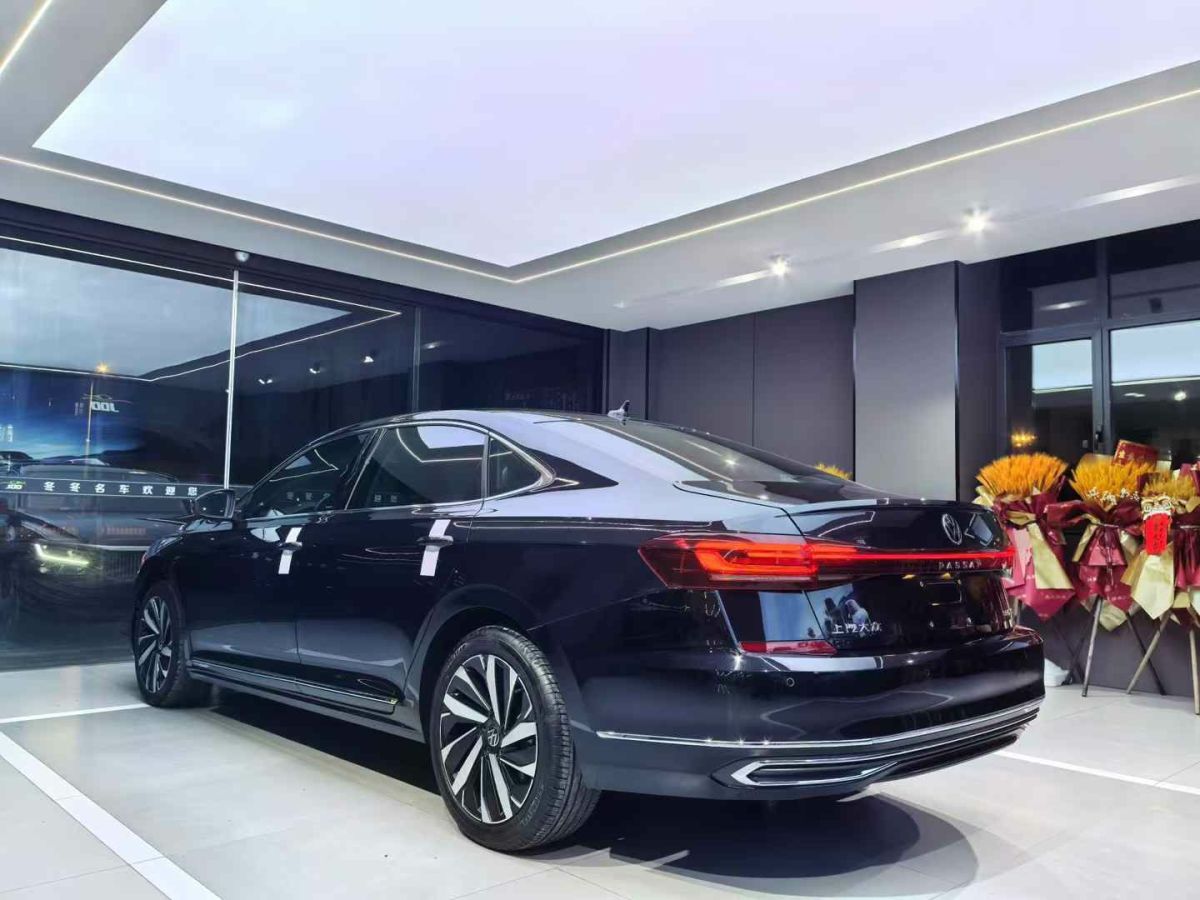 大眾 帕薩特  2022款 280TSI 精英版圖片