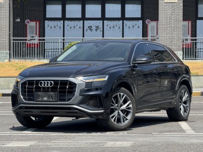 2021年6月 奥迪 奥迪Q8(进口) 55 TFSI 豪华动感型图片