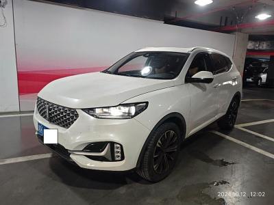 2020年9月 WEY VV6 2.0T 两驱智享+图片