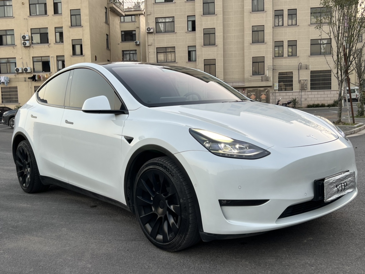 特斯拉 Model Y  2021款 長續(xù)航全輪驅動版圖片