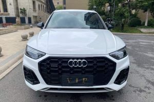 奧迪Q5 e-tron 奧迪 50 e-tron quattro 光耀型 機(jī)甲套裝