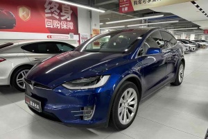 Model X 特斯拉 Model X 100D 长续航版