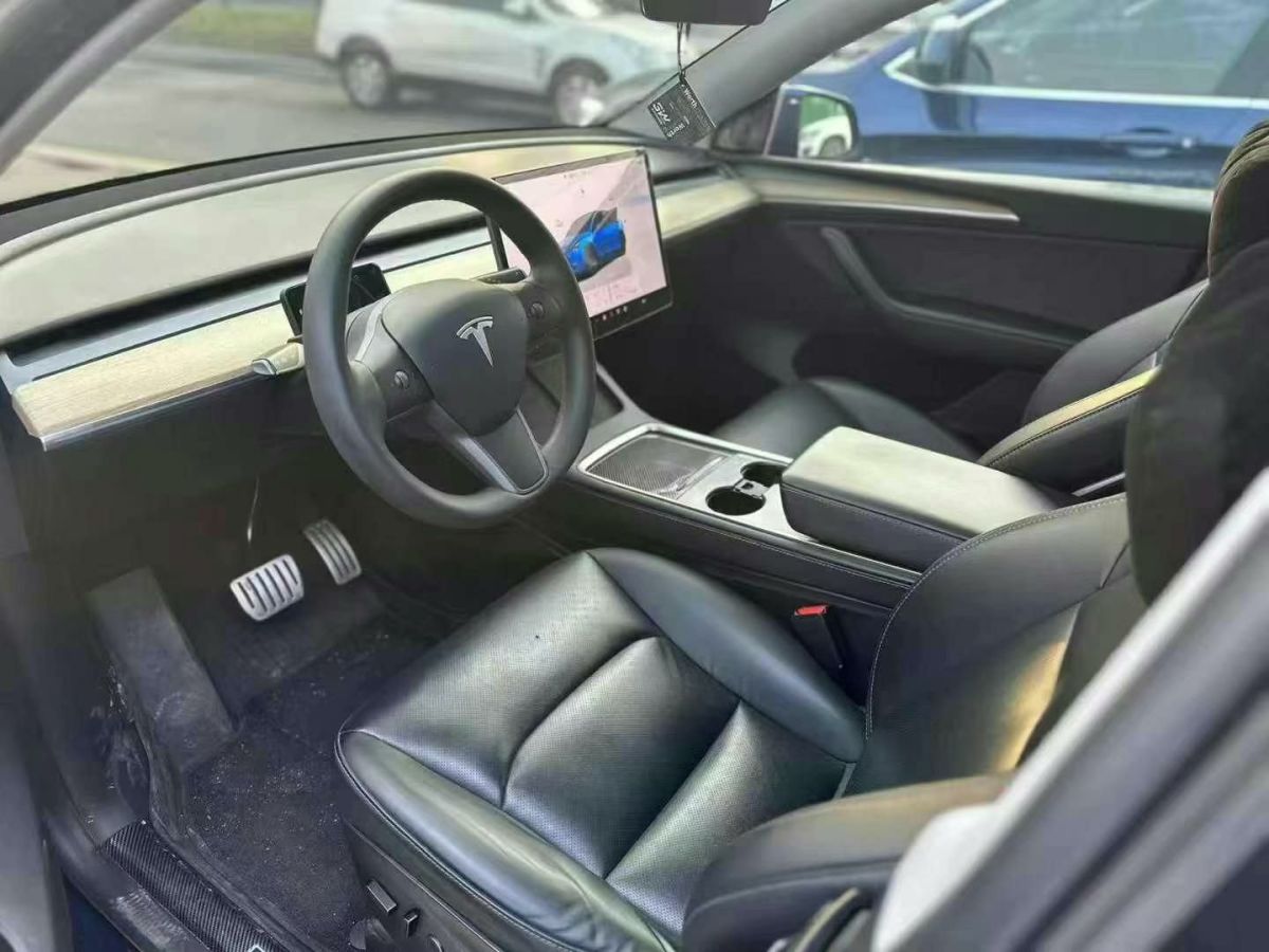 特斯拉 Model Y  2022款 Performance高性能全輪驅(qū)動版圖片