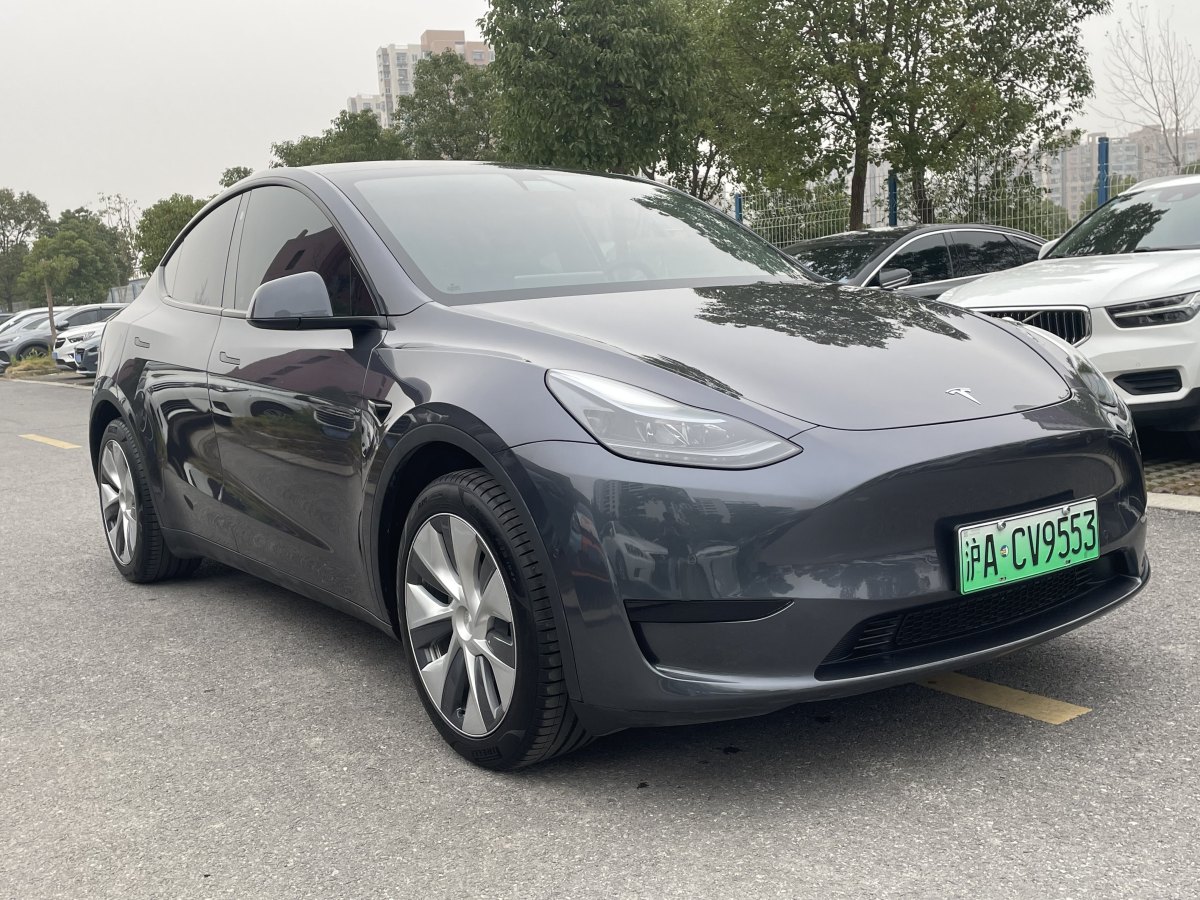 特斯拉 Model 3  2022款 后輪驅(qū)動(dòng)版圖片