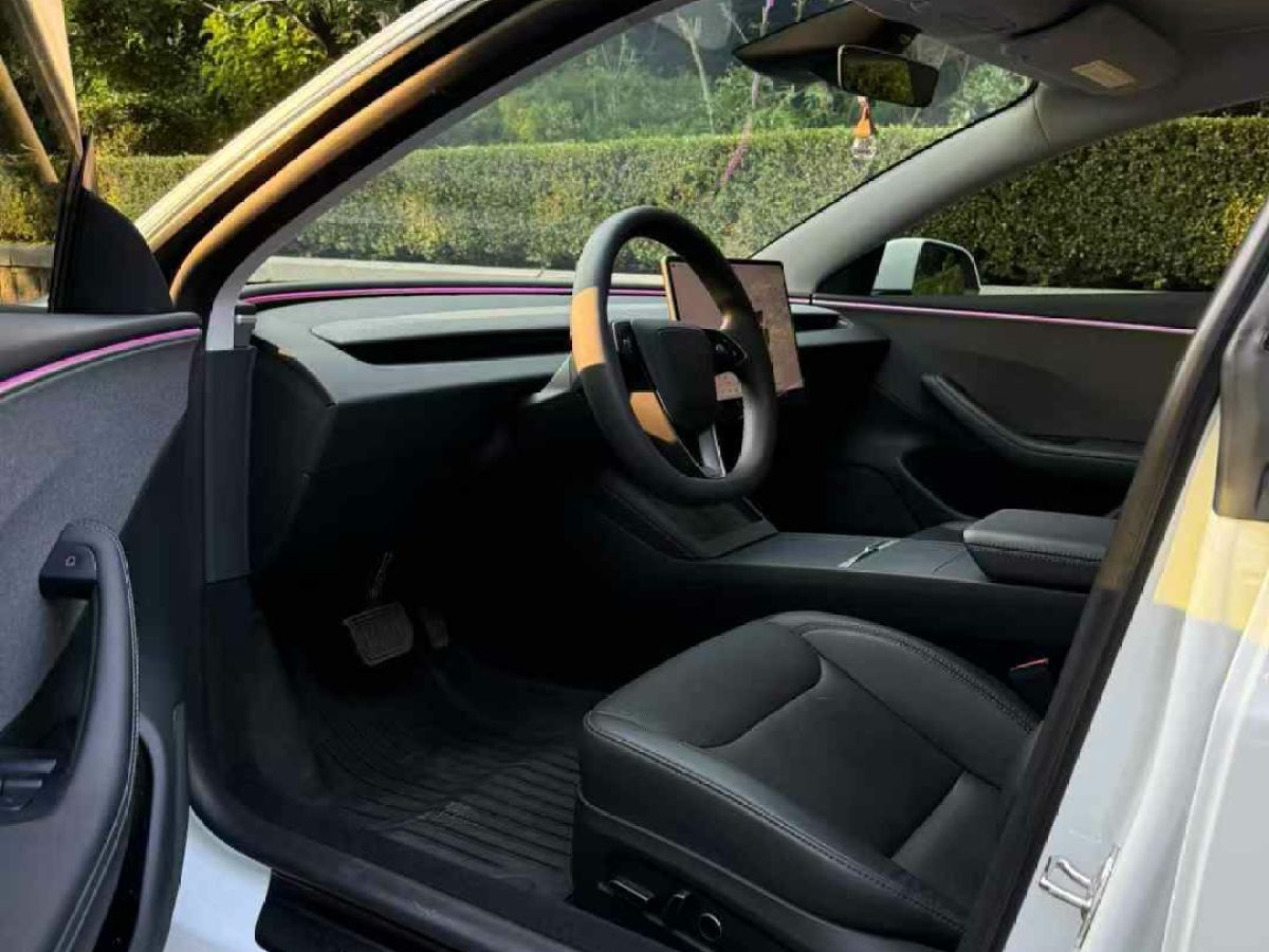 特斯拉 Model Y  2024款 Performance高性能版圖片