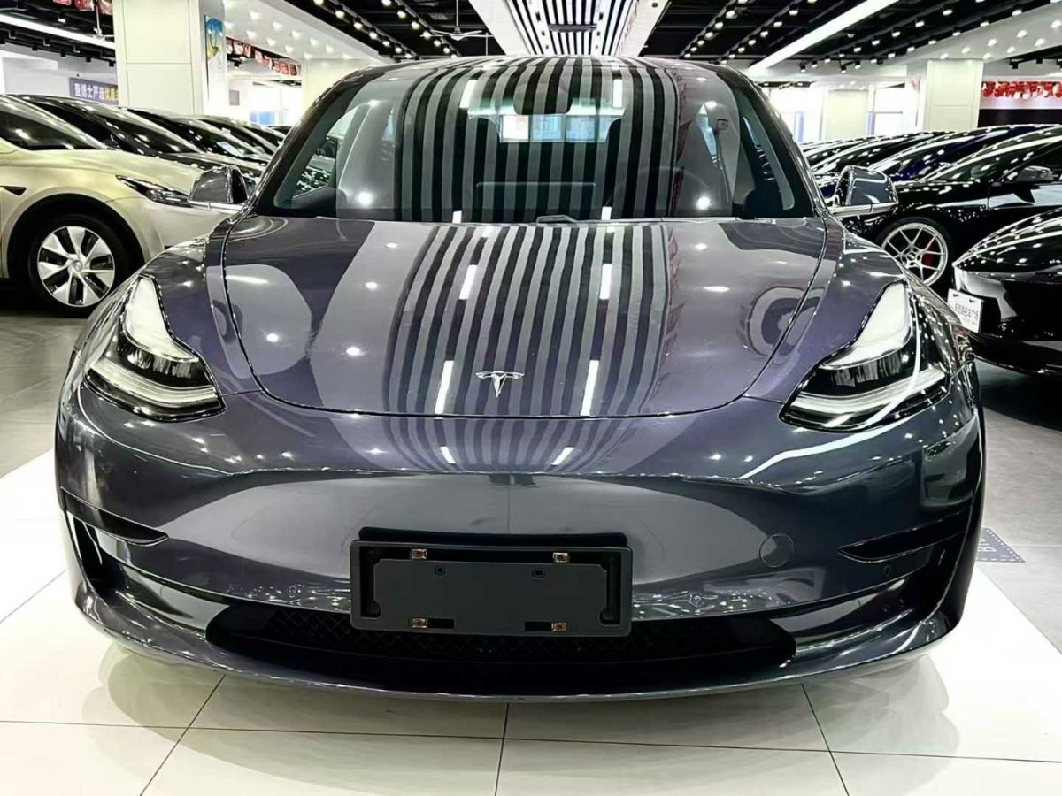 特斯拉 Model 3  2020款 標準續(xù)航后驅(qū)升級版圖片