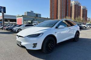 Model X 特斯拉 Model X 100D 长续航版