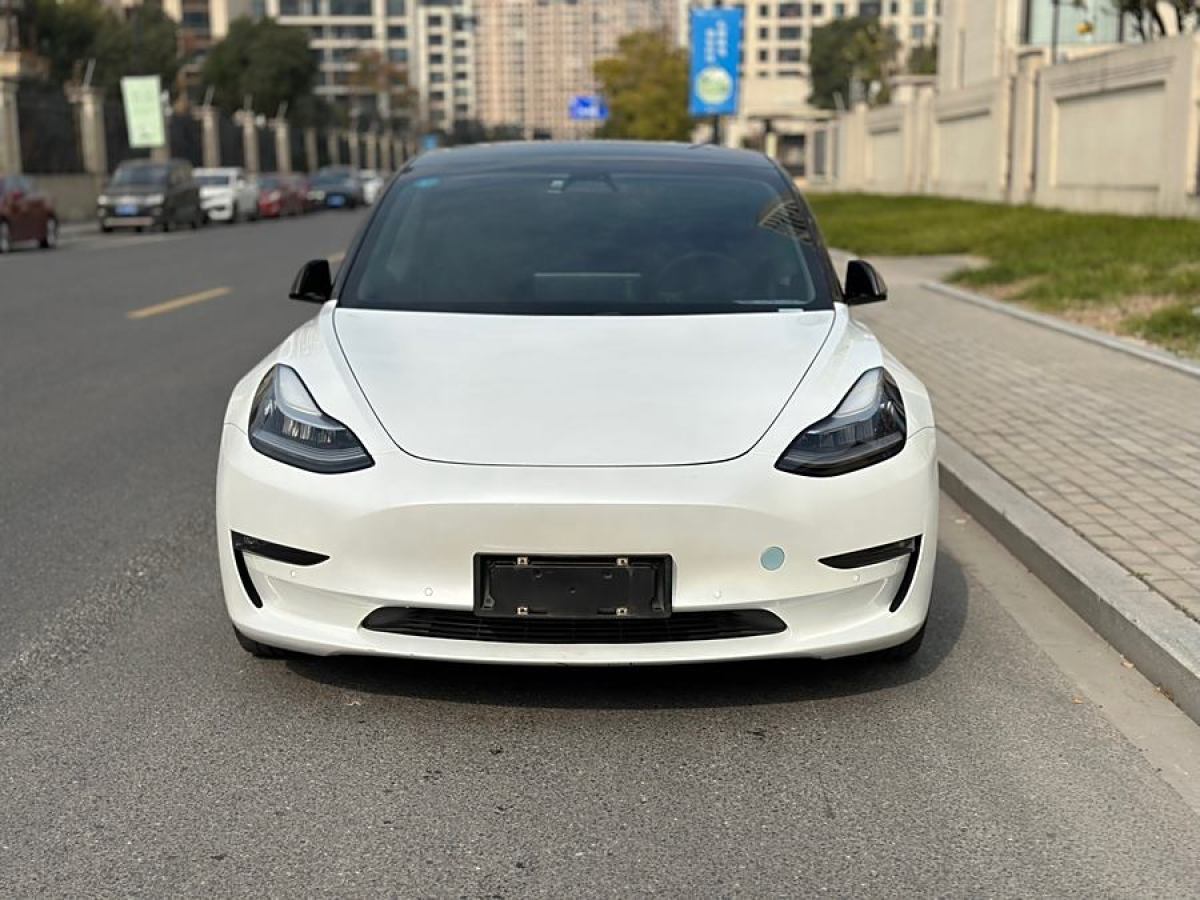 特斯拉 Model 3  2019款 長續(xù)航全輪驅(qū)動版圖片