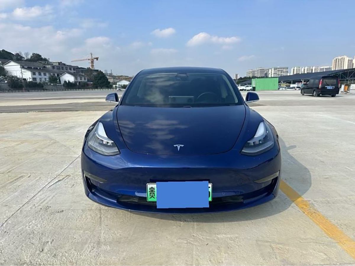 特斯拉 Model 3  2019款 長續(xù)航后驅(qū)版圖片