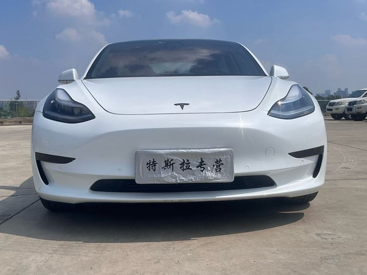 2019年9月特斯拉 Model 3  2019款 長續(xù)航全輪驅(qū)動版