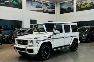 奔驰G级AMG 奔驰 AMG G 63 典藏版