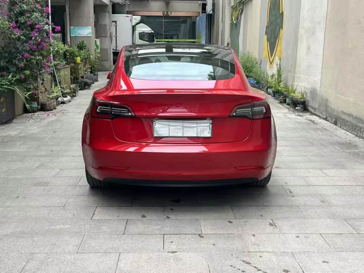 特斯拉 Model 3  2021款 改款 標準續(xù)航后驅升級版圖片