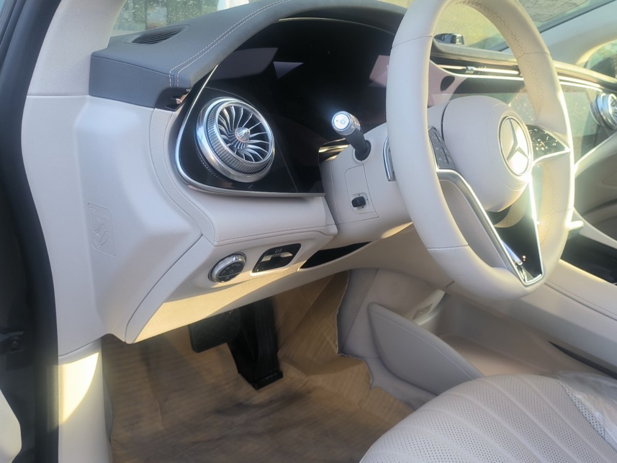 奔驰 奔驰EQS  2023款 450+ 先锋版图片