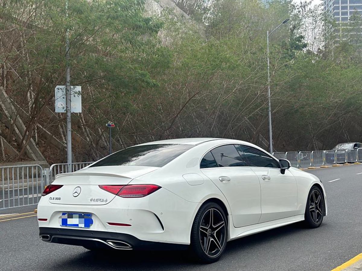 2023年3月奔馳 奔馳CLS級  2022款 CLS 300 豪華型