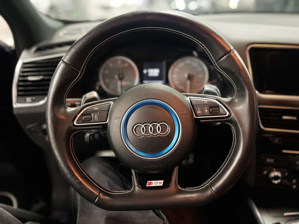 奧迪SQ5 2014款 SQ5 3.0TFSI quattro圖片